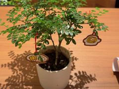 -CURRY YA 熟成咖哩專門店(深圳湾万象城店)