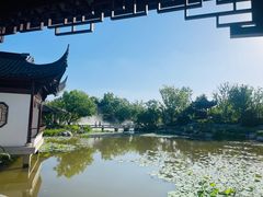 -上海滨江森林公园