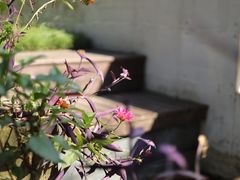 -T80科技文化国际社区-停车场