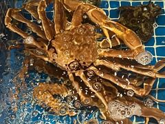 -江户前日本料理(瑞诗酒店店)