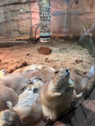 -Zoolung Zoolung动物主题公园(海信广场店)