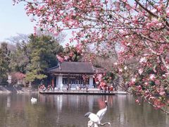 -莫愁湖公园