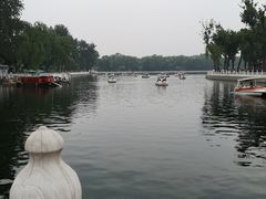 -东兴顺爆肚张