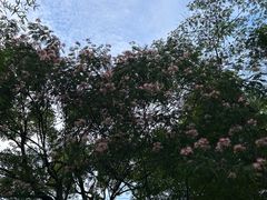 -浙江西子宾馆·瑶园咖啡厅