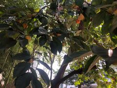 -湖庭壹品鸭王·传统北京烤鸭·别墅私房菜·庭院宵夜(江宁店)