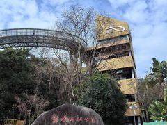 -福道