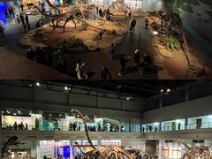 -自贡恐龙博物馆