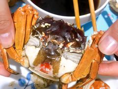 -喜洋洋蟹庄(阳澄湖店)