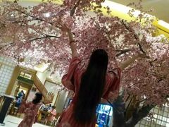 -大江户·温泉洗浴(浑南店)