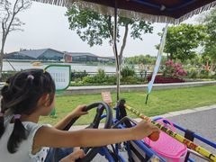 -上海长兴岛郊野公园