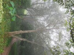 -普陀山风景区-佛顶山