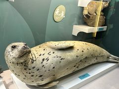 -国家自然博物馆