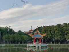 -金砂公园