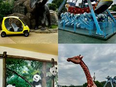 -杭州野生动物世界