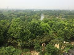 -梁鸿国家湿地公园