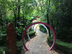 -天目湖涵田半山温泉