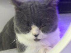 -极木²邸 人与宠物·互动社区