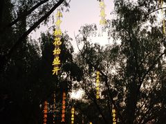 -万泉公园