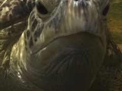 -苏州海洋馆