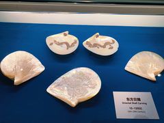 -青岛贝壳博物馆