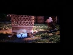 -万达影城(锦华万达广场IMAX店)