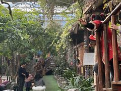 -呀路古热带植物园