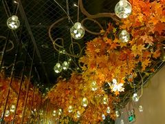 -湖锦酒楼·31年地道湖北菜(黄鹤楼店)