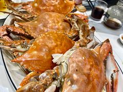 -金海湾海鲜排档(朱家尖店)