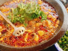 -都江堰石锅鱼
