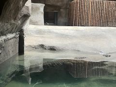 -武汉动物园