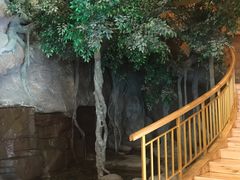 -阿斯牛牛·凉山菜(新会展店)