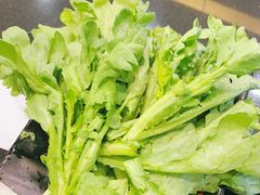 茼蒿红薯粉拼盘-呷哺呷哺(枫蓝国际店)