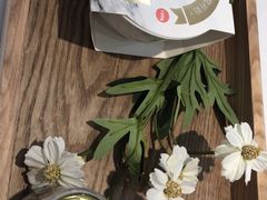 -慈宁宫鲜炖燕窝(文一物美店)