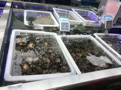 -盒马鲜生(大成店)