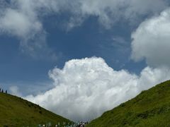 -仰天湖大草原