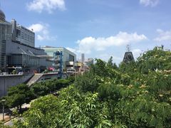 -台场海滨公园船码头