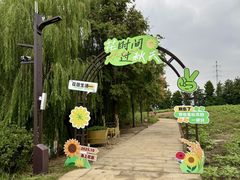 -杭州湾海上花田景区