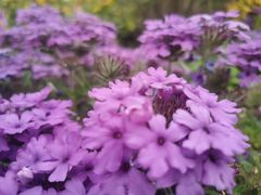 -西宁市人民公园(城西区)