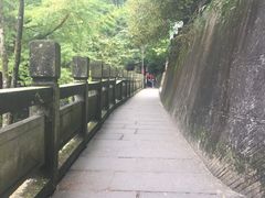 -青城山
