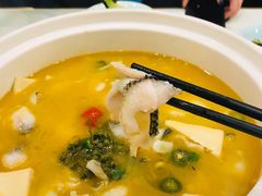-蜀腾川·火锅鱼.烤鱼(新世界城店)