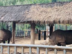 -石家庄市动物园