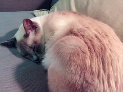 -MIKAKU(万达广场上海宝山店)