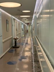 -杭州贝瑞斯美华妇儿医院·早孕·产检·儿科