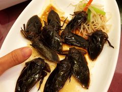 -莫华(锦绣趣园北街店)