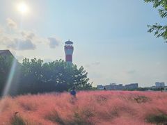 -上海山野camping·户外天幕烧烤·团建拓展营地