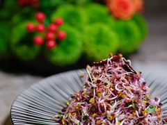 -宋庄魁元艺术餐厅