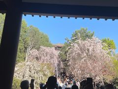 -西安青龙寺遗址景区