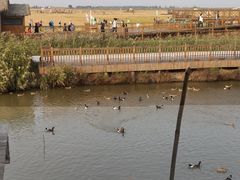 -盘锦红海温泉乐园