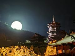 -禅宗少林·音乐大典