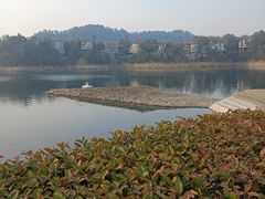 -千岛湖东南湖区